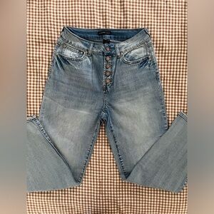 Sincerely Jules High Rise Jeans Size 3/26